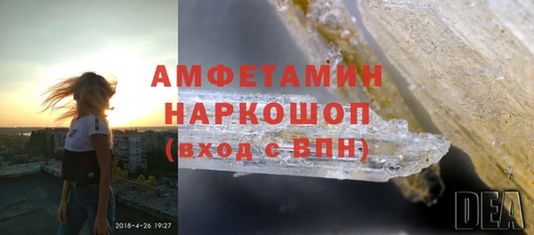 гашик Алексин
