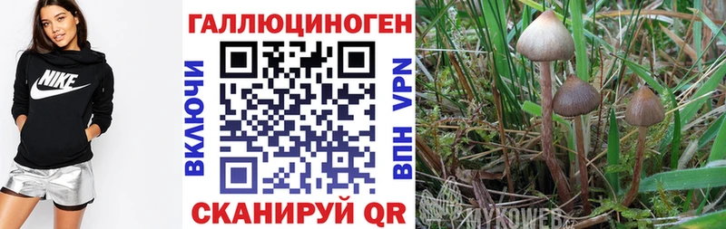 цены наркотик  Заозёрный  Галлюциногенные грибы мицелий 